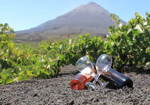 900x600-1-50-7b59c11637bad3d077164a5b448c9c7d